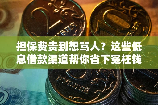 济南担保费贵到想骂人？这些低息借款渠道帮你省下冤枉钱