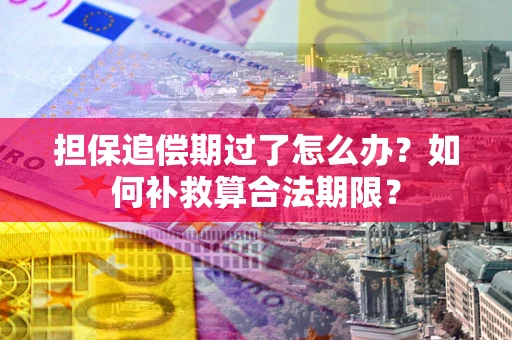 济南担保追偿期过了怎么办？如何补救算合法期限？
