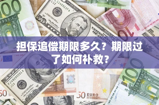 济南担保追偿期限多久？期限过了如何补救？