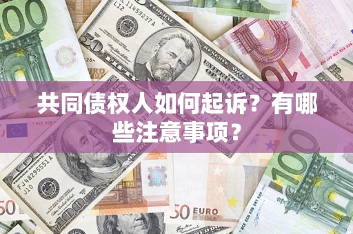 济南共同债权人如何起诉？有哪些注意事项？